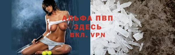 гашик Краснослободск