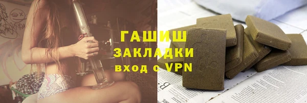 гашик Краснослободск