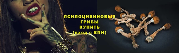 стафф Куйбышев