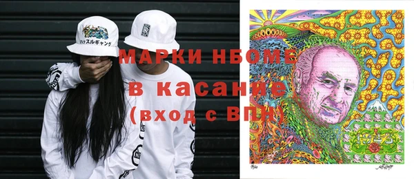 гашик Краснослободск