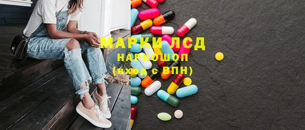 гашик Краснослободск