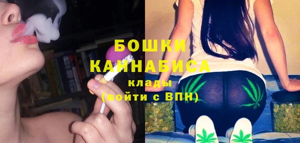тгк Лагань