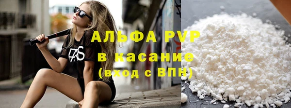 гашик Краснослободск